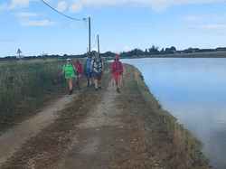 Illustration de la galerie