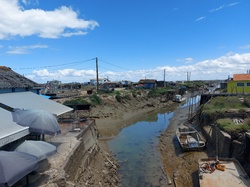 Illustration de la galerie