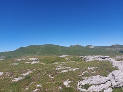 Illustration de la galerie