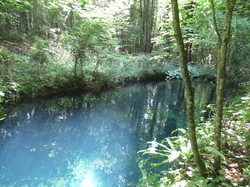 Illustration de la galerie