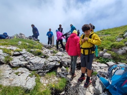 Illustration de la galerie