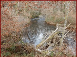 Illustration de la galerie