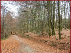 Illustration de la galerie