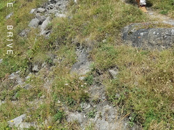 Illustration de la galerie