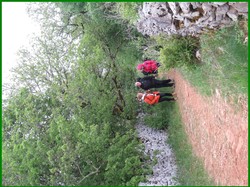 Illustration de la galerie