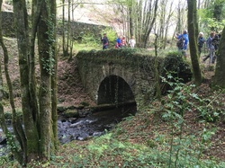 Illustration de la galerie